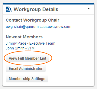 Screenshot of Workgroup Details widget